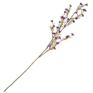 Kunstbloem Chimonanthus 70cm paars