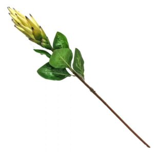 Kunstbloem Protea 83cm geel