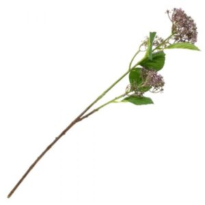 Kunstbloem Trachelium 65cm paars