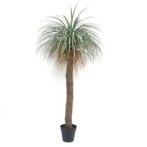 Kunstplant Agave palmboom 229cm