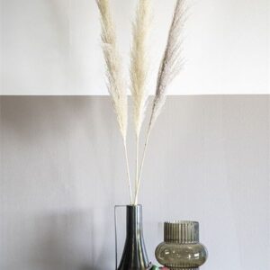 Gedroogde pluimen pampas zwart 120cm