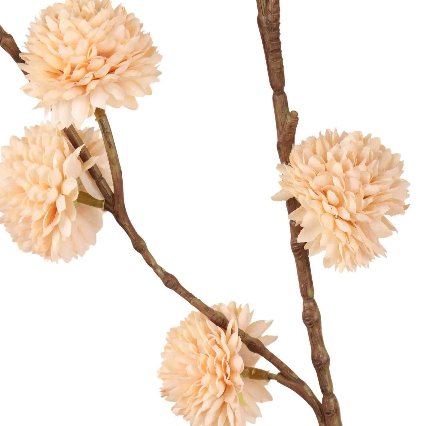 Detailopname van crème pompom bloemhoofdjes op de 100 cm lange kunsttak