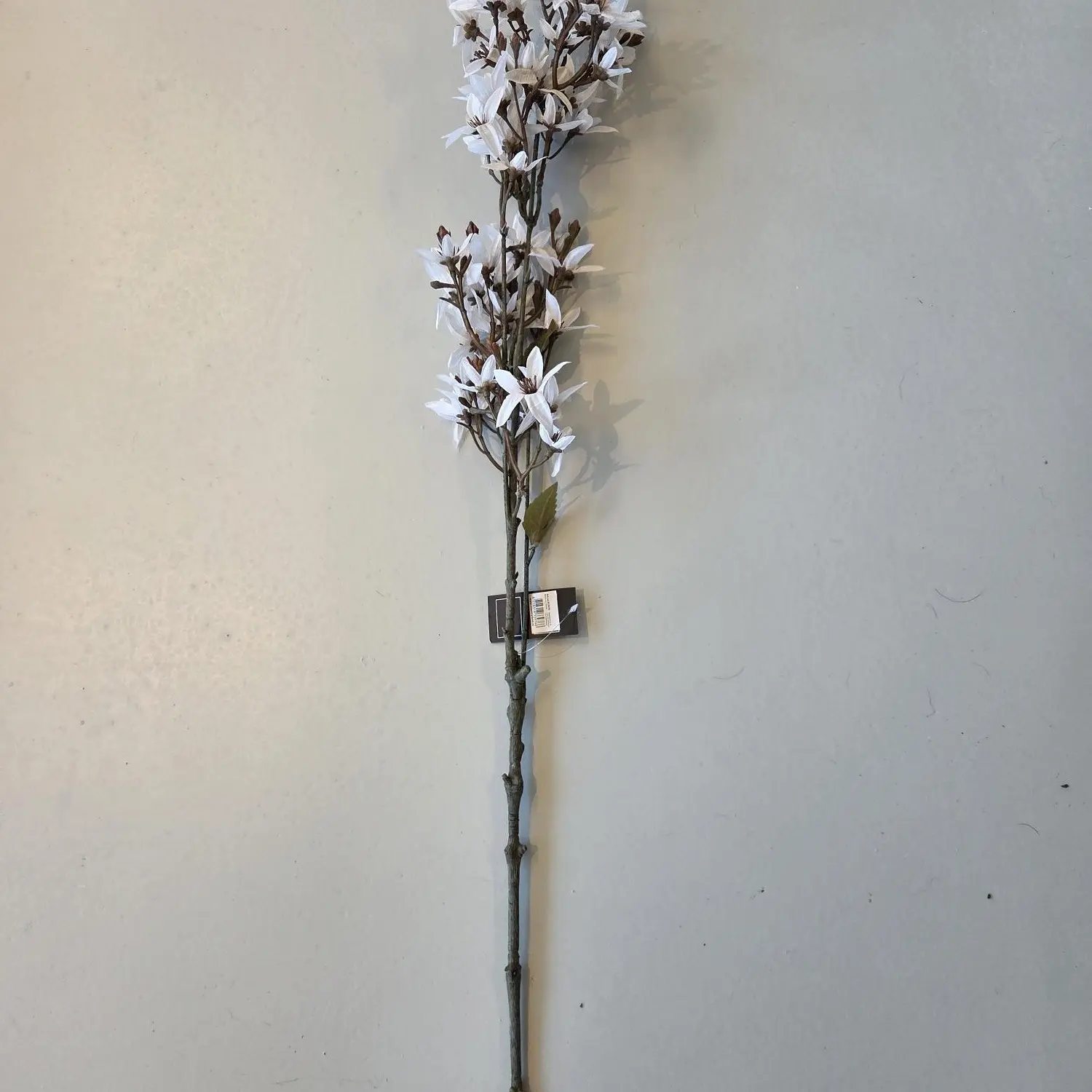 Kunstbloem magnoliatak witte bloesem 95 cm lang met realistische bruine knoppen