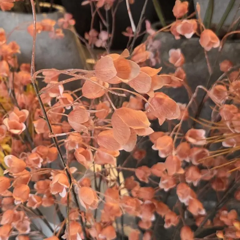 Kunstbloem klokjesbloem 100 cm oranje perzik met delicate klokvormige bloempjes