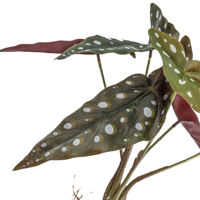 Kunstplant Olifantsoor met wortels - Afbeelding 2