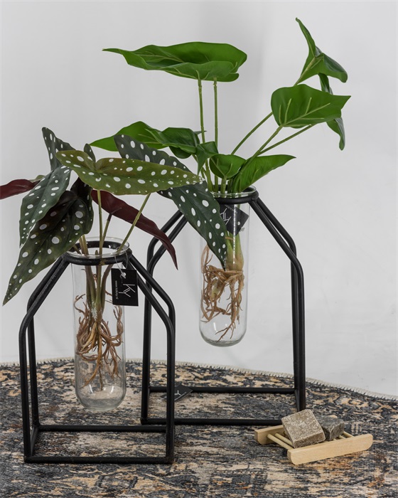 Kunstplant Olifantsoor met wortels - Afbeelding 3